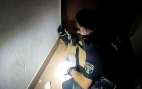 Momento en que el agente de policía consigue sujetar al asustado chihuahua.