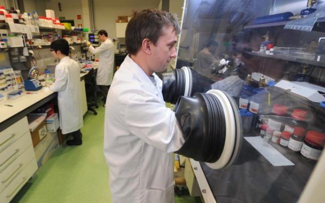 Investigadores trabajando en el CIC Nanogune Investigadores trabajando en el CIC Nanogune
