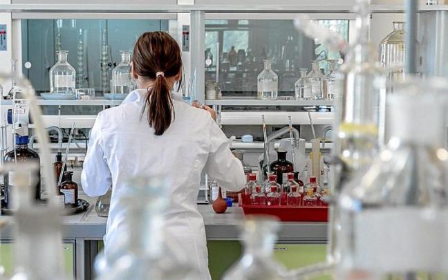 Solo el 13 % de los estudiantes de informática en el Estado son mujeres Solo el 13 % de los estudiantes de informática en el Estado son mujeres