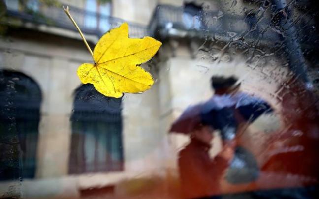 Hoja de un árbol pegada al cristal de un coche.