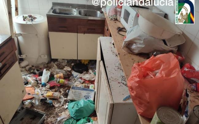 Estado de la cocina de la vivienda Estado de la cocina de la vivienda
