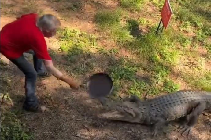 El vídeo viral del señor que se defiende a sartenazos del ataque de un  cocodrilo - Onda Vasca