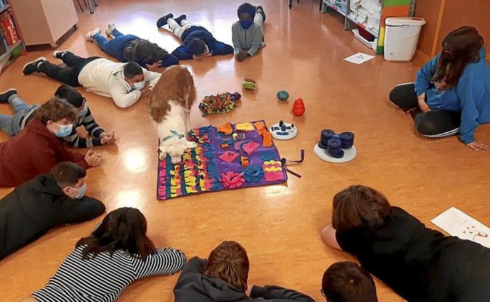 Terapia canina con Dana en el colegio San Prudencio. Foto: Cedida