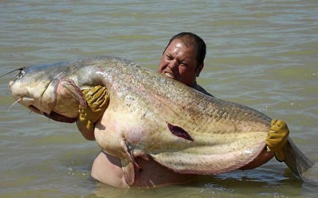 El tamaño es uno de los mayores atractivos de este tipo de pesca. Foto: N.G.