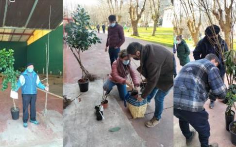 Los precios de los ejemplares facilitados por el Ayuntamiento, incluida la subvención, oscilaron entre los tres euros de los perales, manzanos... hasta los quince de los cítricos o aguacateros. Los precios de los ejemplares facilitados por el Ayuntamiento, incluida la subvención, oscilaron entre los tres euros de los perales, manzanos... hasta los quince de los cítricos o aguacateros.
