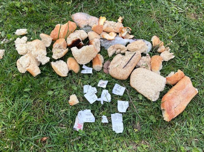 Comida encontrada en Ariznabarra