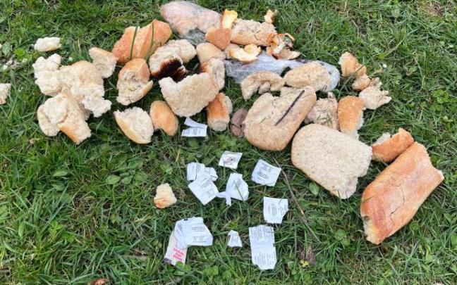 Comida encontrada en Ariznabarra