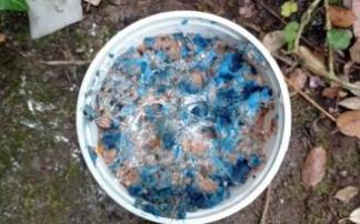 Platos como este se han encontrado entre Bolunburu y La Herrera.