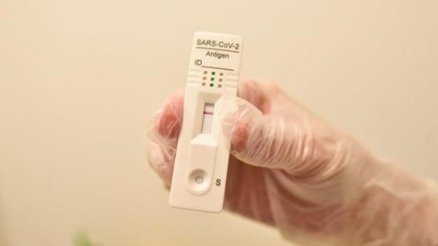 Autotest de antígenos.