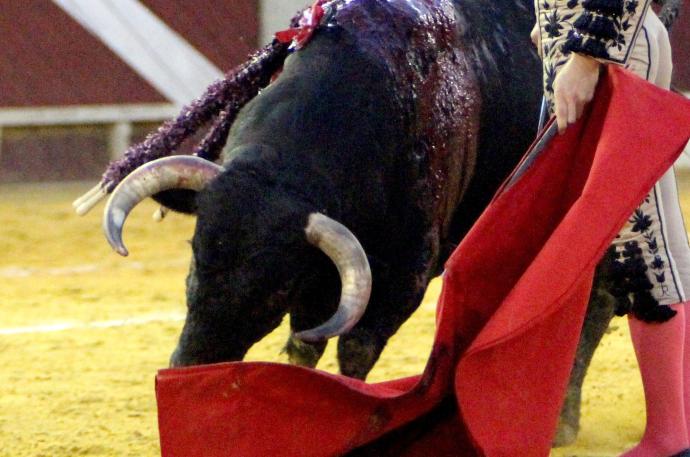 Gijón no volverá a celebrar corridas de toros.