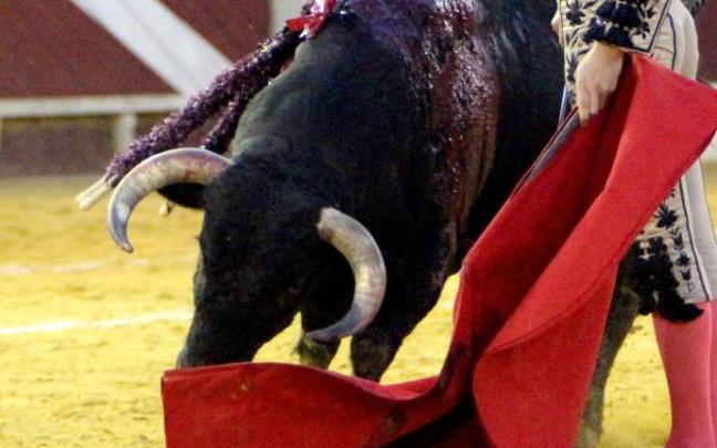 Gijón no volverá a celebrar corridas de toros. Gijón no volverá a celebrar corridas de toros.