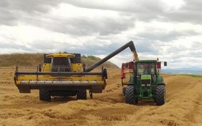 Una cosechadora y un tractor en un campo de cereal de Álava.