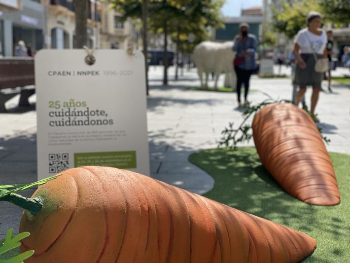 'Crece en ecológico': los alimentos ecológicos gigantes vuelven a recorrer Navarra