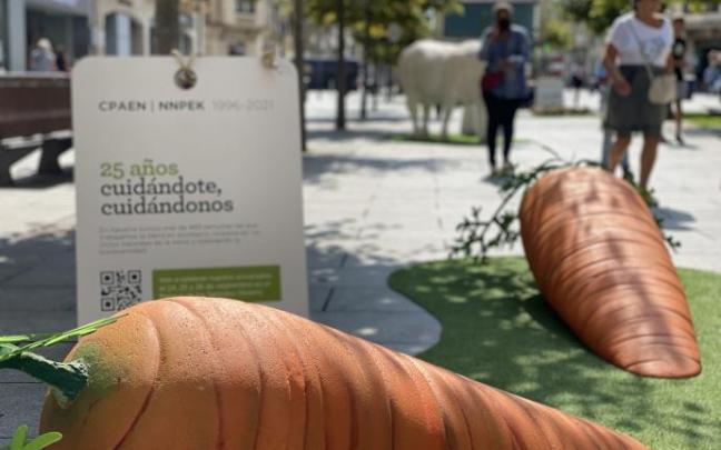 'Crece en ecológico': los alimentos ecológicos gigantes vuelven a recorrer Navarra
