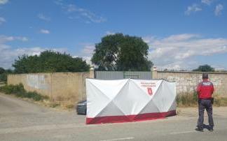 Asesinan a puñaladas a una vitoriana delante de sus hijos