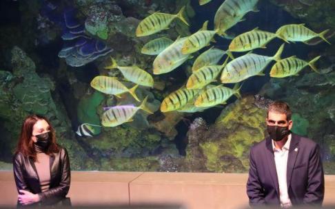 Cristina Iglesias y Eneko Goia, en el Aquarium, durante la presentación del simposio sobre la costa rocosa y la apertura de la obra Hondalea. Cristina Iglesias y Eneko Goia, en el Aquarium, durante la presentación del simposio sobre la costa rocosa y la apertura de la obra Hondalea.