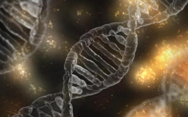 El cromosoma Y de la población vasca surgió en la Edad de Bronce.