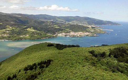 Imagen de la reserva de la Biosfera de Urdaibai, Espacio Natural Protegido desde el año 2021. Foto: EP