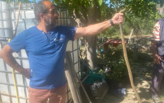 Atrapan una culebra 'bastarda' de metro y medio en una huerta de Noáin