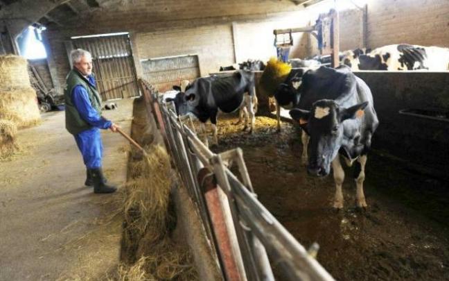 Podrán ser beneficiarias de estas ayudas entidades públicas o privadas con sede en Euskadi.