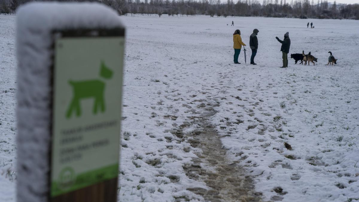 En imágenes: Los vitorianos disfrutan (y sufren) con la nieve