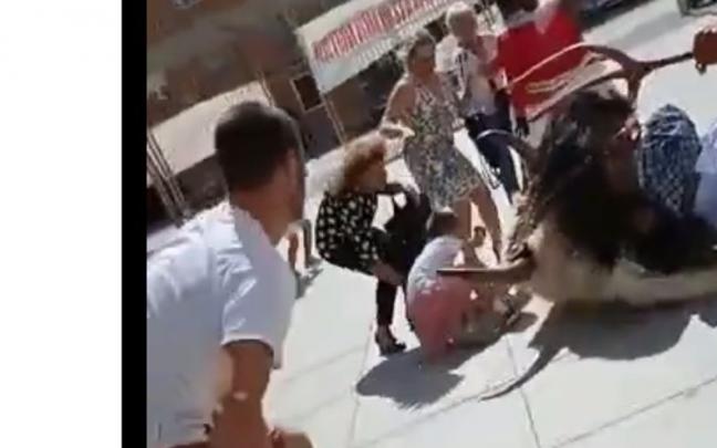 Susto en Alsasua: cae un gigante por el viento Susto en Alsasua: cae un gigante por el viento