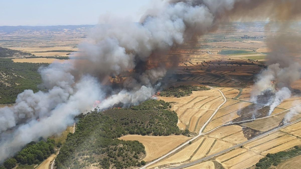 Vista del fuego en la zona de Carcastillo, con varios focos.