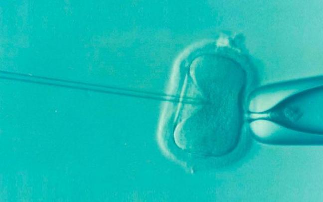 Espa&ntilde;a es uno de los pa&iacute;ses con menor tasa de natalidad y la edad es el factor que m&aacute;s influye.