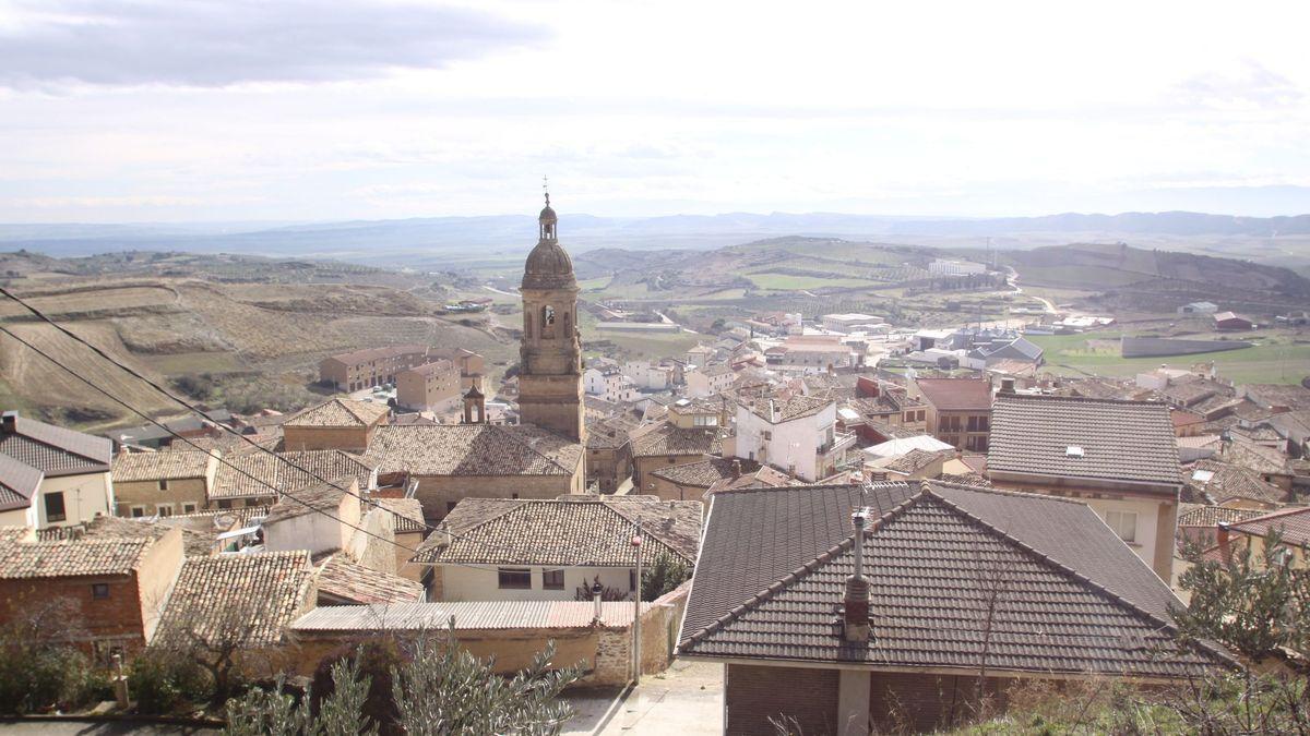 Vista de Arróniz.