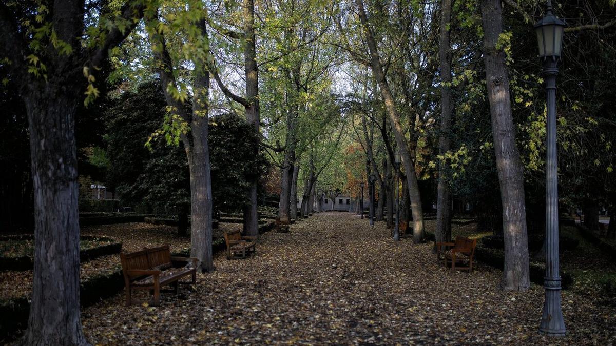 Vista del parque de la Taconera.