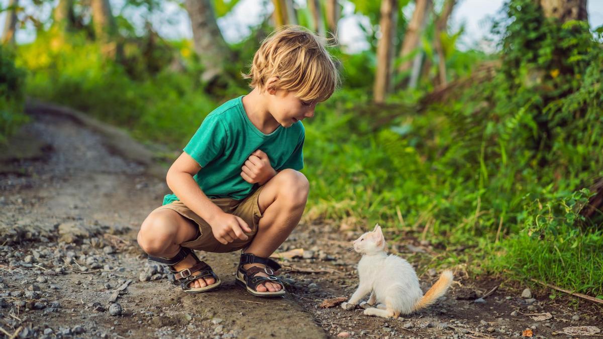 Gatos y niños pueden ser excelentes compañeros de vida.