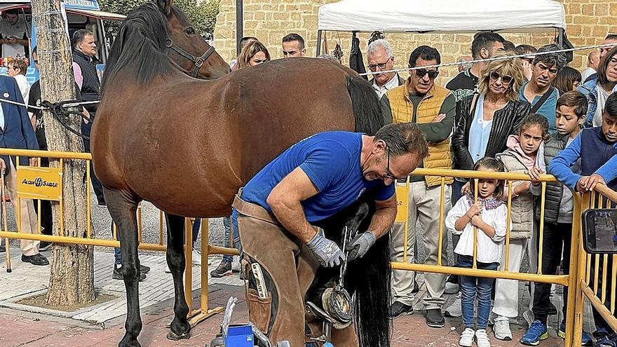 La exposición de ganado atrajo a multitud de personas.
