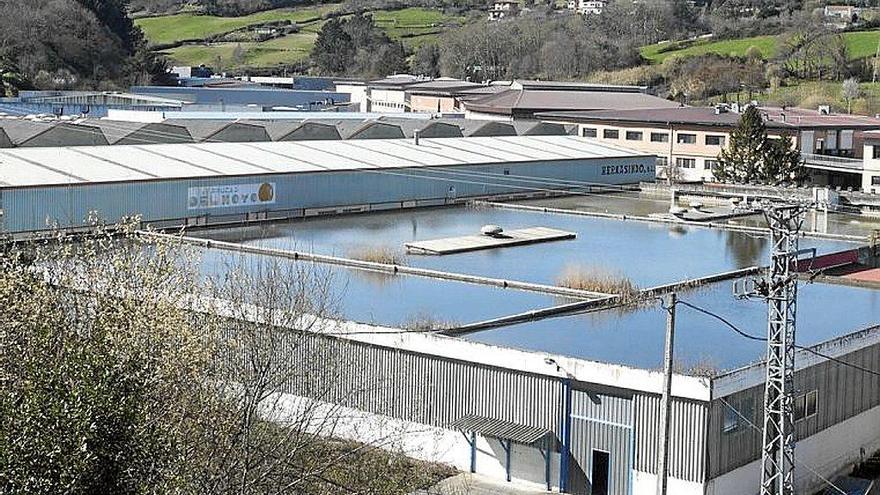 Zona industrial de Abendaño en Zarautz. Foto: Ruben Plaza.