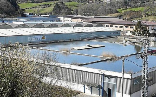 Zona industrial de Abendaño en Zarautz. Foto: Ruben Plaza. Zona industrial de Abendaño en Zarautz. Foto: Ruben Plaza.