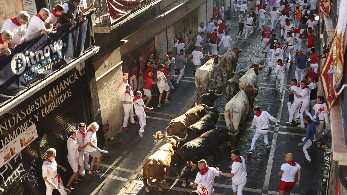 Los toros de La Palmosilla, en el tramo del Ayuntamiento.