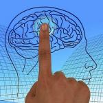 Los hábitos saludables, las relaciones sociales y evitar el estrés son claves en la salud del cerebro.