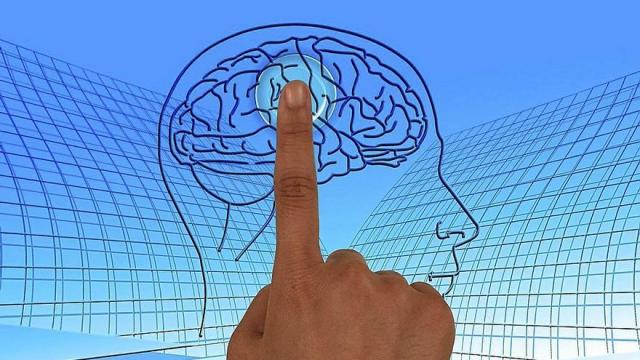 Los hábitos saludables, las relaciones sociales y evitar el estrés son claves en la salud del cerebro. Los hábitos saludables, las relaciones sociales y evitar el estrés son claves en la salud del cerebro.