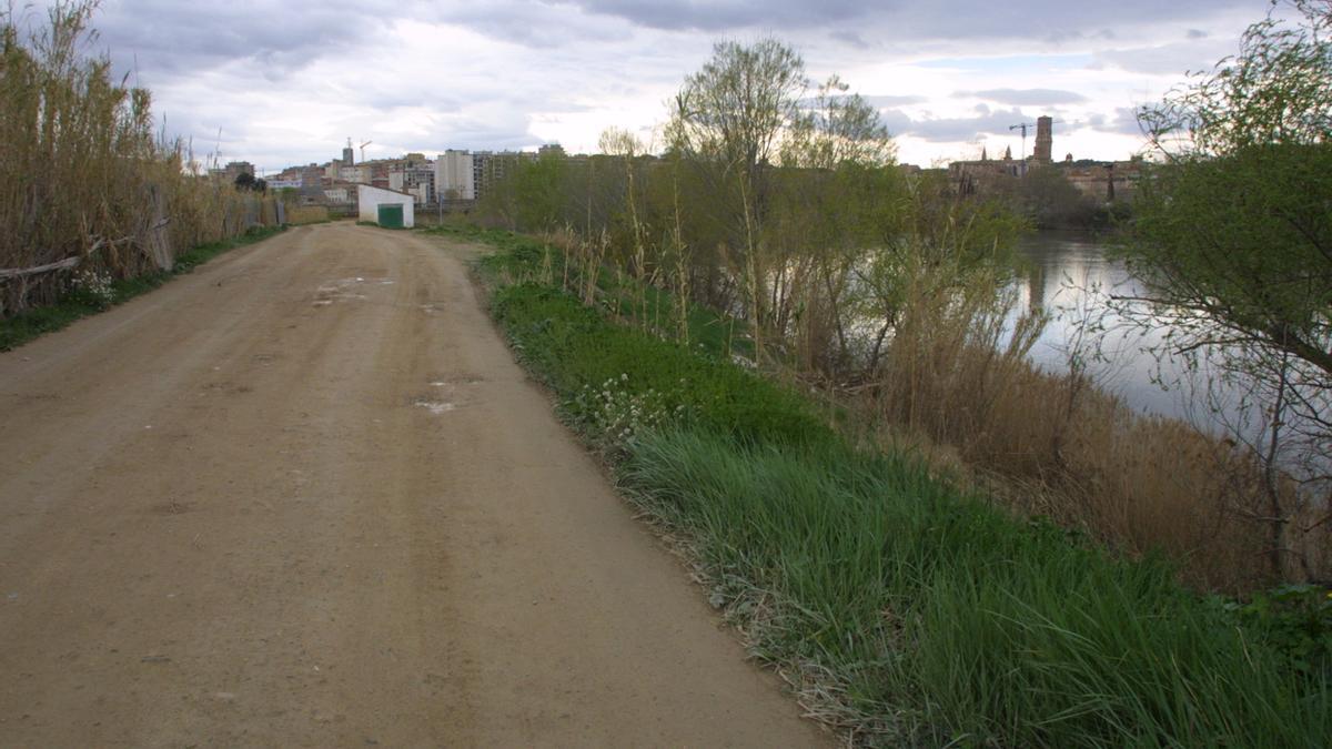 Camino del Ebro a su paso por Tudela, con la torre de la catedral, al fondo