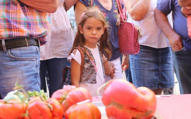 Una ni&ntilde;a observando los tomates presentados al XI Concurso de tomates "El Feo de Tudela" en 2018.