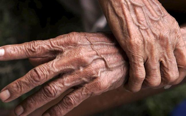 La solidaridad forma parte de las pol&iacute;ticas de Vitoria.