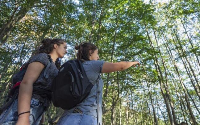 Imagen de archivo de Gorbeia.