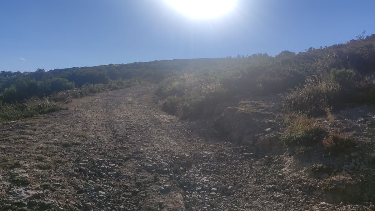 Abandonamos la pista