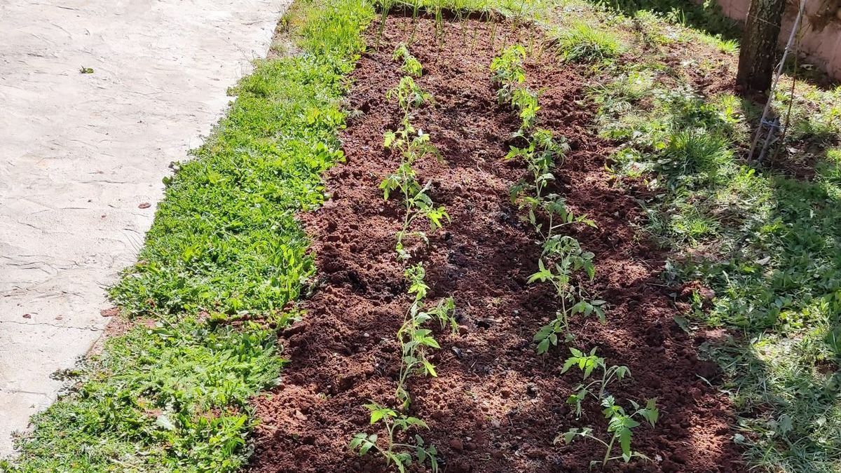 De vacaciones al pueblo