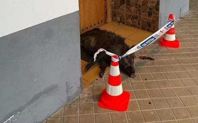 El jabal&iacute; muerto, en la puerta de la mezquita de Gasteiz