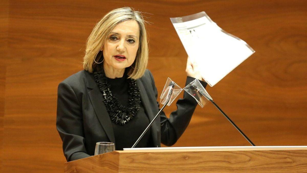 Ibarra, durante una intervención en el Parlamento de Navarra