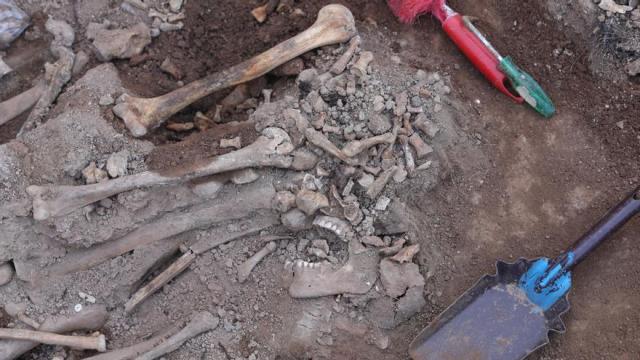 Varios huesos encontrados durante la excavación de una fosa común. Varios huesos encontrados durante la excavación de una fosa común.