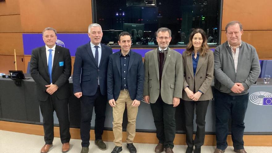 El director gerente de Euskarabidea, Mikel Arregi, a la izquierda, junto a representantes de Cataluña, Galicia y País Vasco en la jornada del Parlamento Europeo.