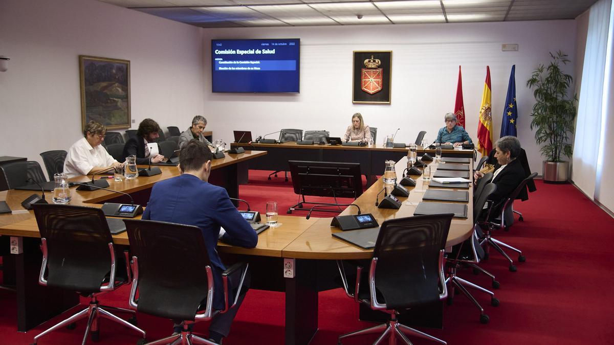 Comisión Especial de Salud para acordar y sentar las bases de una nueva Ley Foral.