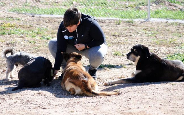 Paloma Garc&iacute;a, Instructora Canina de la Asociaci&oacute;n Espa&ntilde;ola de Perros de Apoyo