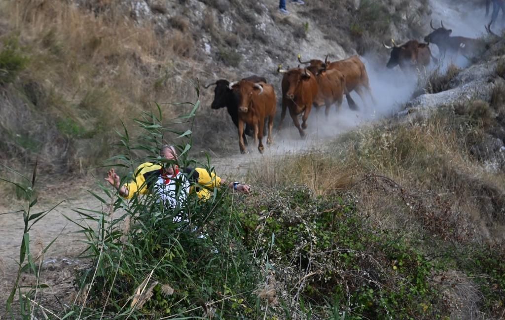 Uno de los mozos ha caído a una ladera repleta de zarzas